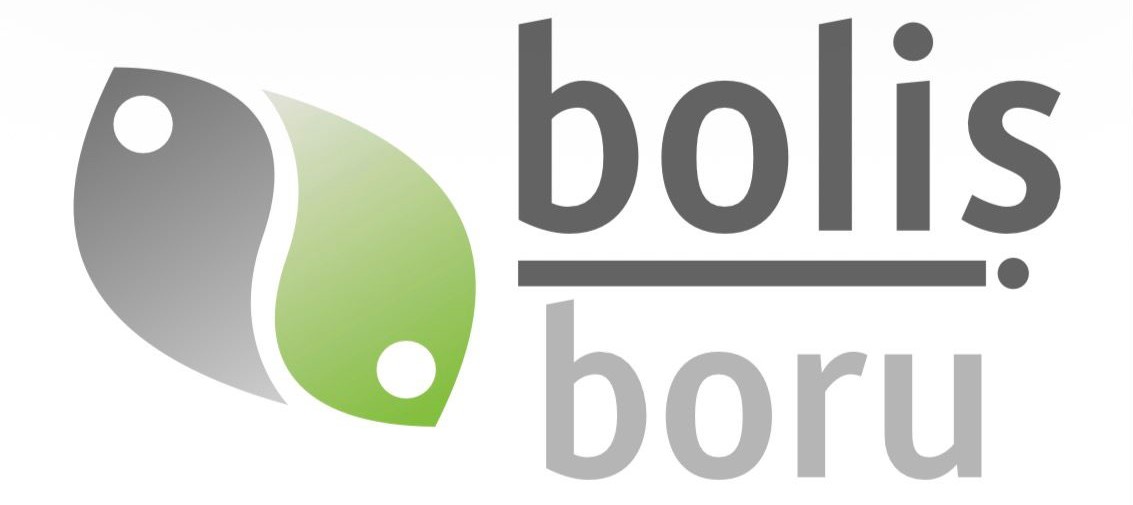 BOLİŞ BORU